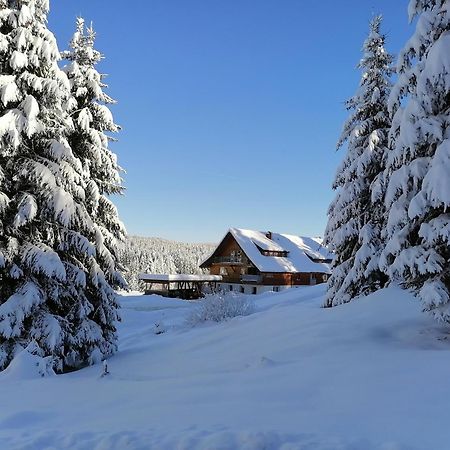 Ferienwohnung Heustueble Hinterzarten Exterior photo